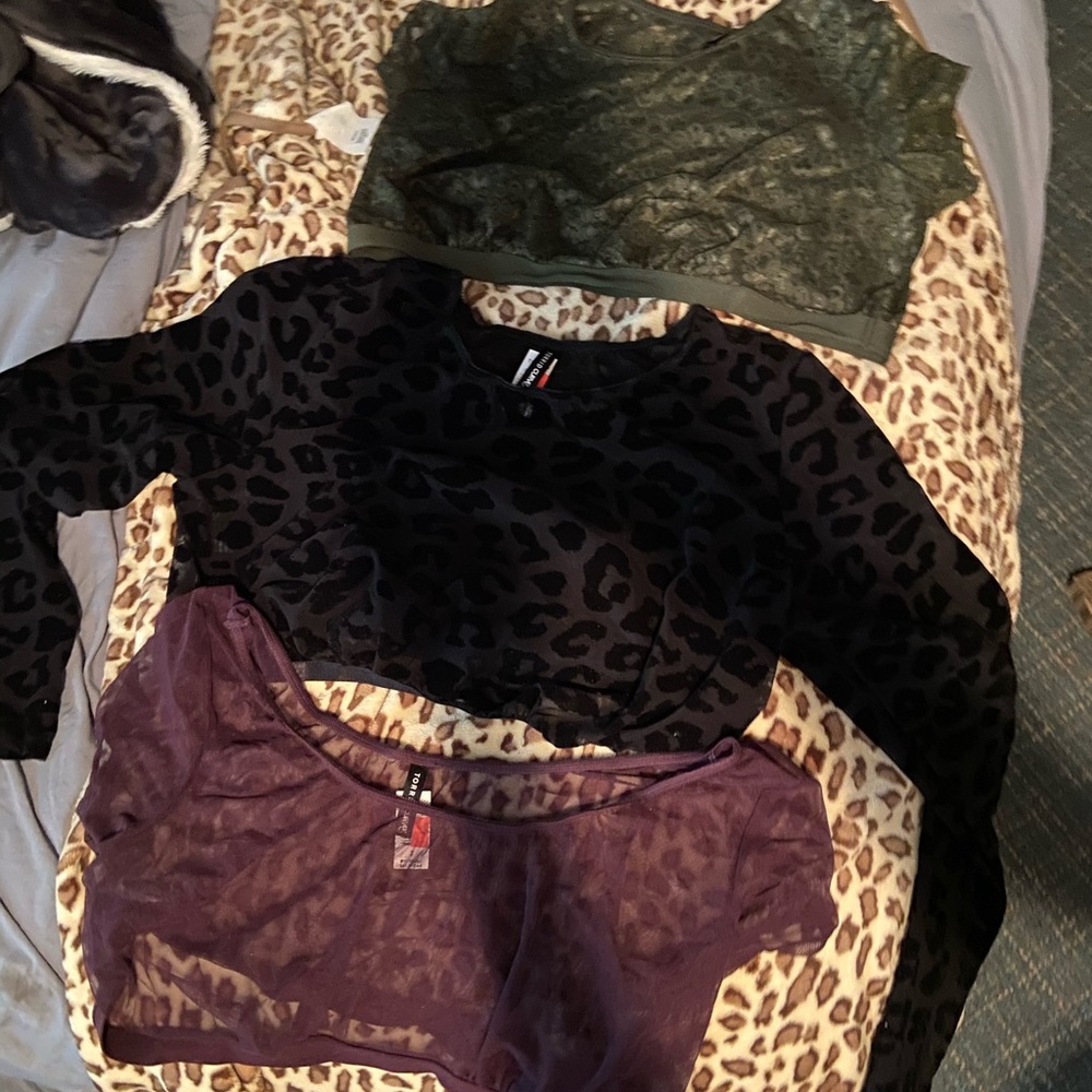 Torrid size 2 bandeaus